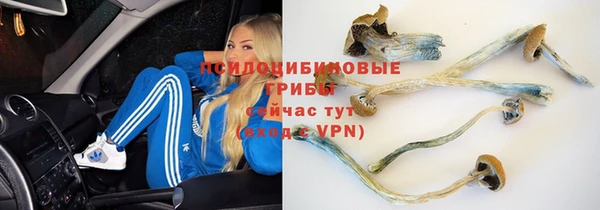 а пвп мука Белоозёрский