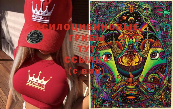 каннабис Ступино
